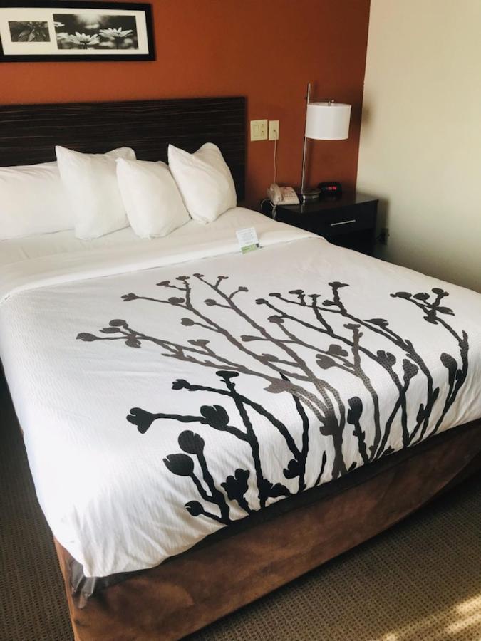 Sleep Inn North Charleston Ashley Phosphate מראה חיצוני תמונה