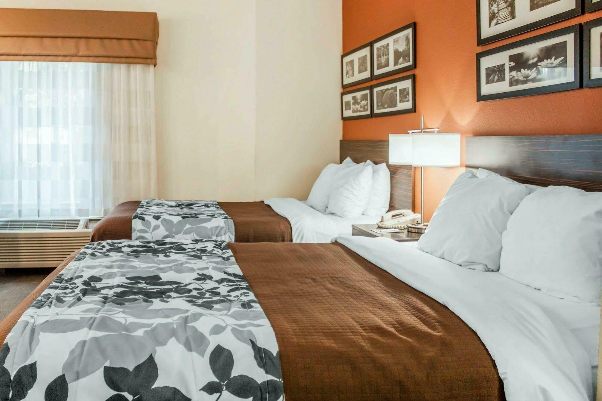 Sleep Inn North Charleston Ashley Phosphate מראה חיצוני תמונה