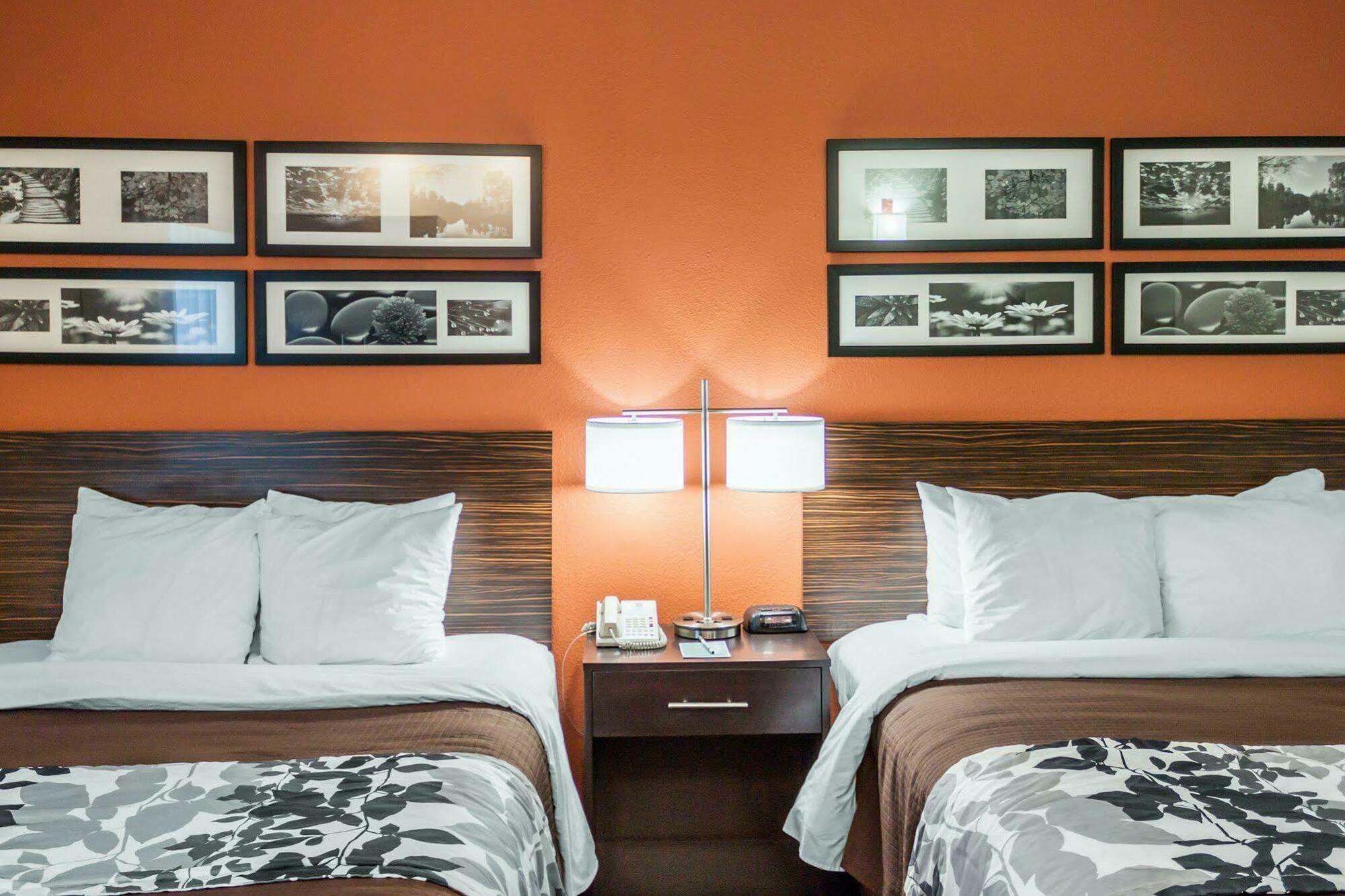 Sleep Inn North Charleston Ashley Phosphate מראה חיצוני תמונה