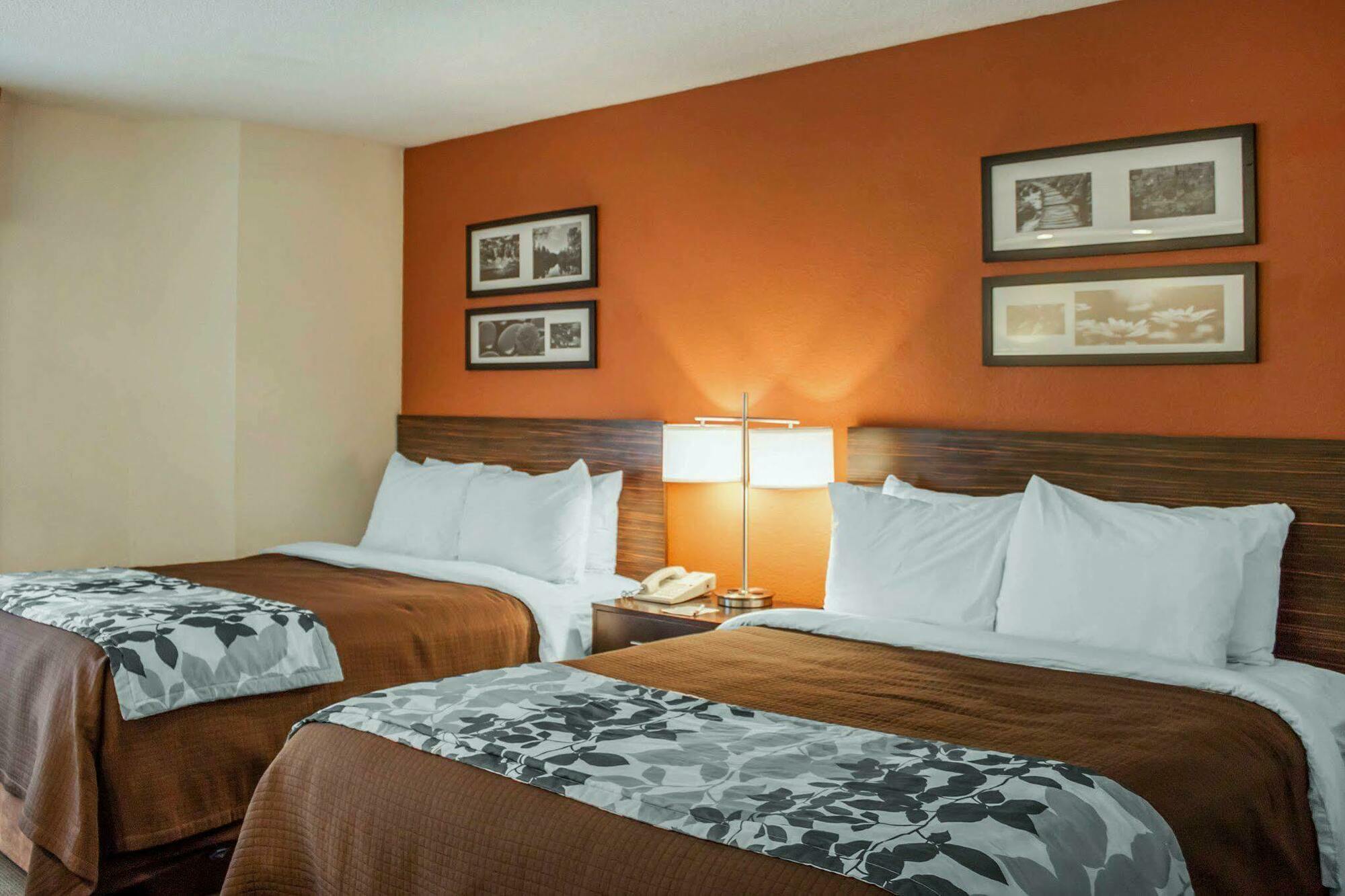 Sleep Inn North Charleston Ashley Phosphate מראה חיצוני תמונה